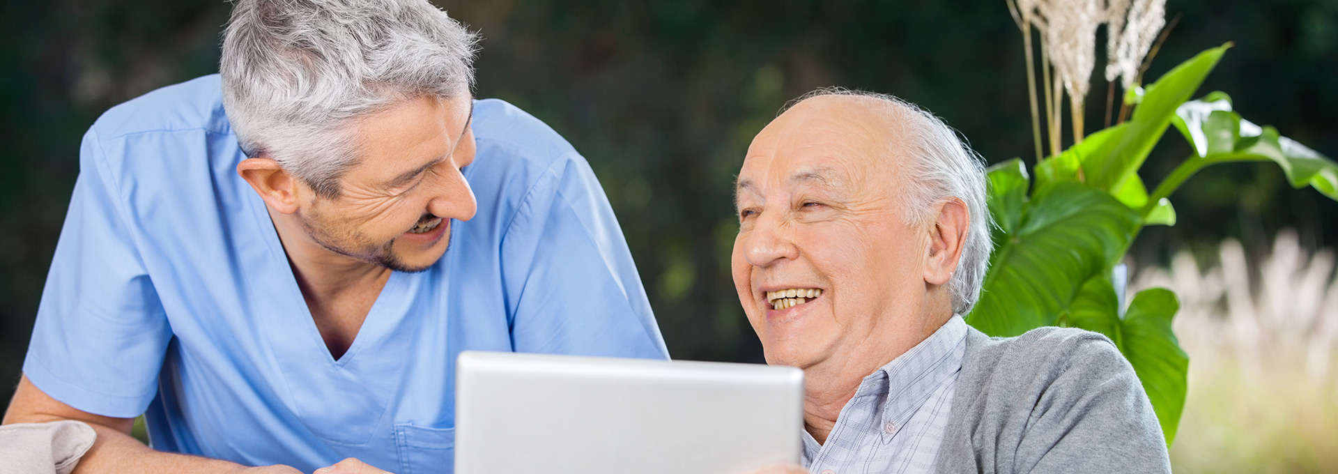 Domiciliary Care